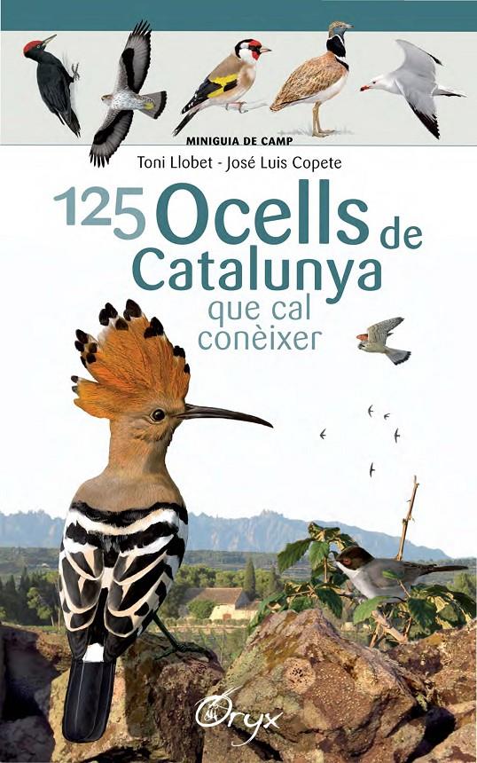 125 OCELLS DE CATALUNYA | 9788490346747 | LLOBET FRANÇOIS, TONI/COPETE, JOSÉ LUIS | Llibreria La Font de Mimir - Llibreria online Barcelona - Comprar llibres català i castellà