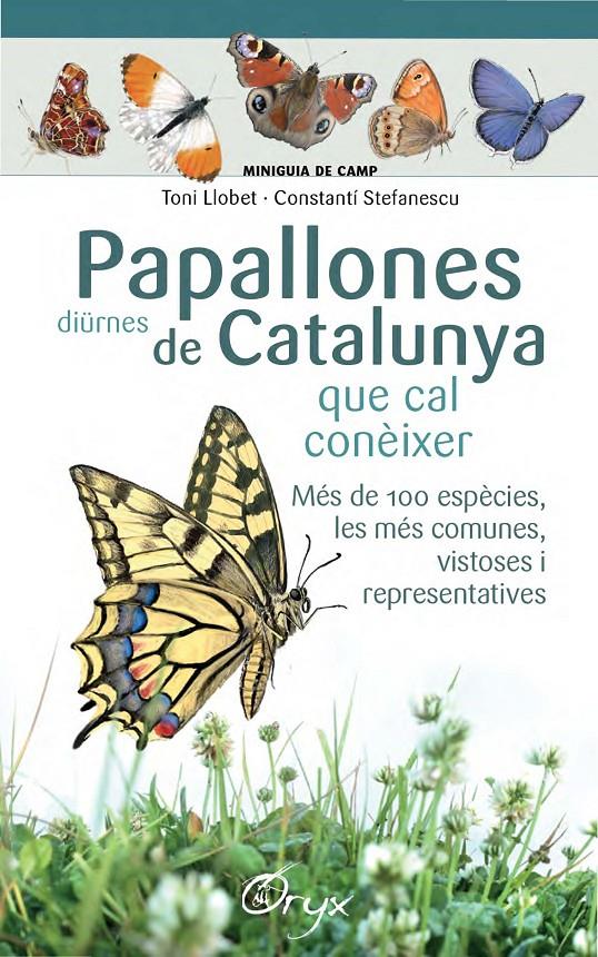 PAPALLONES DIÜRNES DE CATALUNYA | 9788490346754 | LLOBET FRANÇOIS, TONI/STEFANESCU, CONSTANTÍ | Llibreria La Font de Mimir - Llibreria online Barcelona - Comprar llibres català i castellà