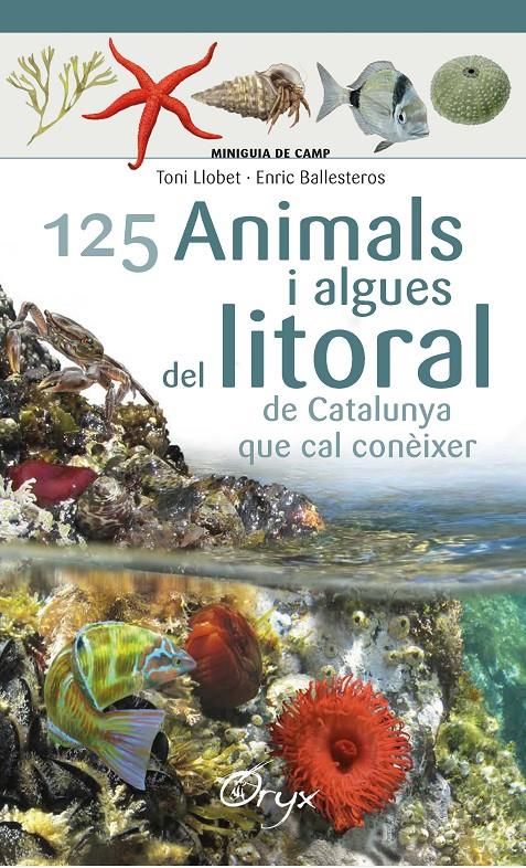 125 ANIMALS I ALGUES DEL LITORAL DE CATALUNYA | 9788490347416 | BALLESTEROS SAGARRA, ENRIC | Llibreria La Font de Mimir - Llibreria online Barcelona - Comprar llibres català i castellà
