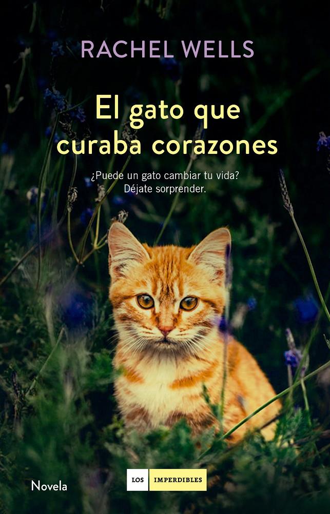 EL GATO QUE CURABA CORAZONES | 9788416634477 | Llibreria La Font de Mimir - Llibreria online Barcelona - Comprar llibres català i castellà