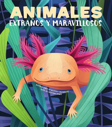 ANIMALES EXTRAÑOS Y MARAVILLOSOS (VVKIDS) | 9788468270678 | BANFI, CRISTINA | Llibreria La Font de Mimir - Llibreria online Barcelona - Comprar llibres català i castellà
