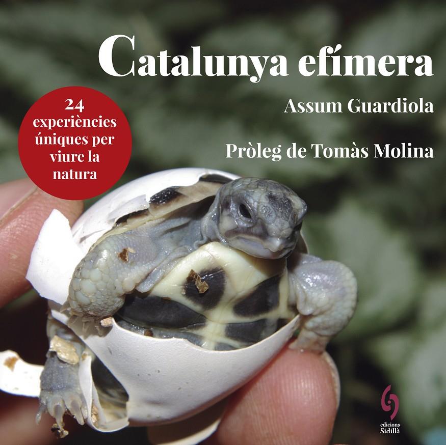 CATALUNYA EFÍMERA | 9788494928147 | GUARDIOLA, ASSUM | Llibreria La Font de Mimir - Llibreria online Barcelona - Comprar llibres català i castellà