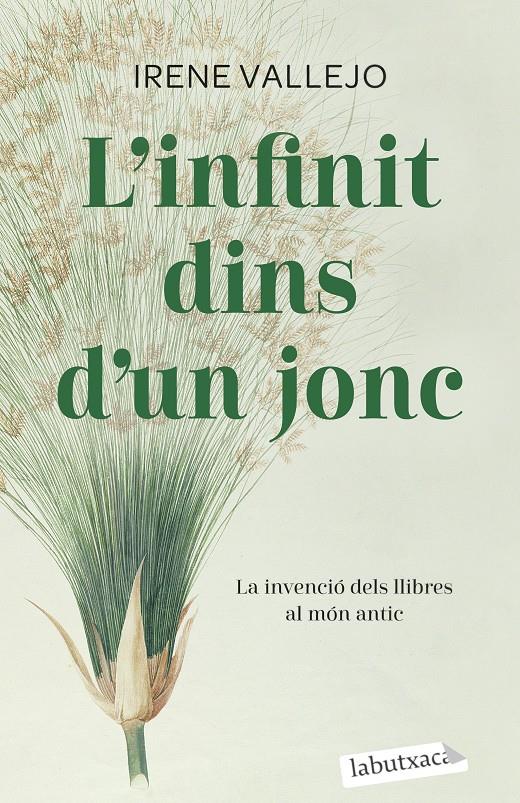 L'INFINIT DINS D'UN JONC | 9788419107121 | VALLEJO, IRENE | Llibreria La Font de Mimir - Llibreria online Barcelona - Comprar llibres català i castellà
