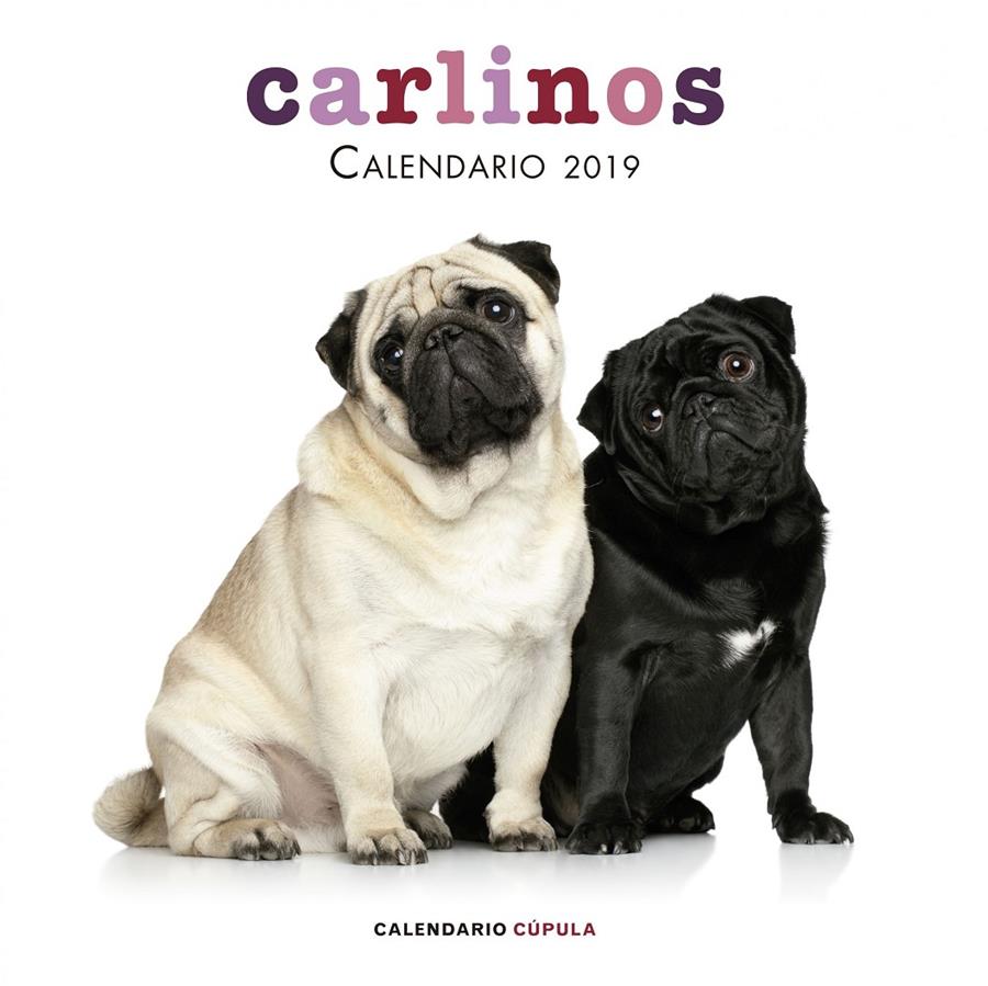 CALENDARIO CARLINOS 2019 | 9788448024680 | AA. VV. | Llibreria La Font de Mimir - Llibreria online Barcelona - Comprar llibres català i castellà