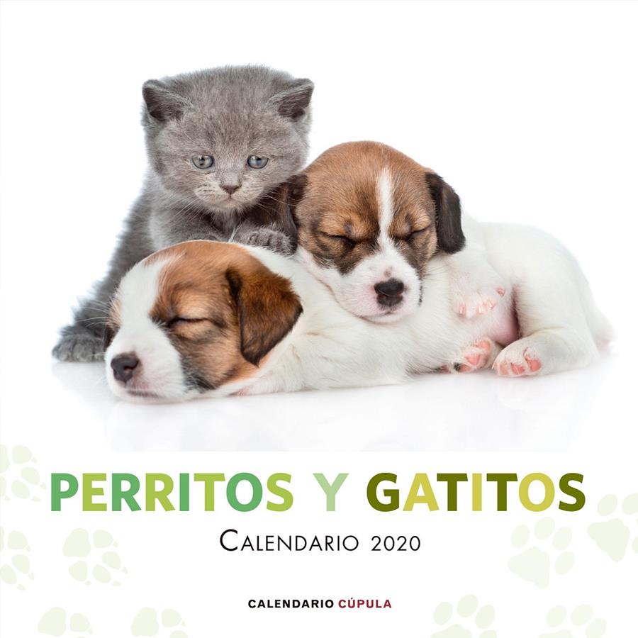 CALENDARIO PERRITOS Y GATITOS 2020 | 9788448026172 | AA. VV. | Llibreria La Font de Mimir - Llibreria online Barcelona - Comprar llibres català i castellà