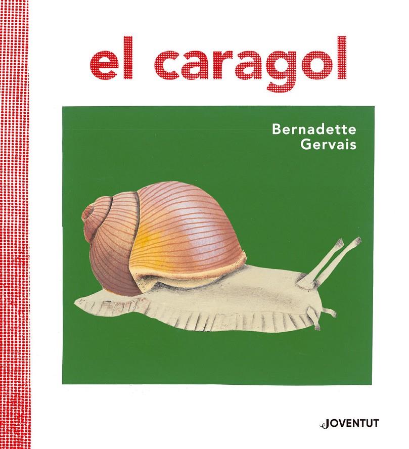 EL CARAGOL | 9788426145680 | GERVAIS, BERNADETTE | Llibreria La Font de Mimir - Llibreria online Barcelona - Comprar llibres català i castellà