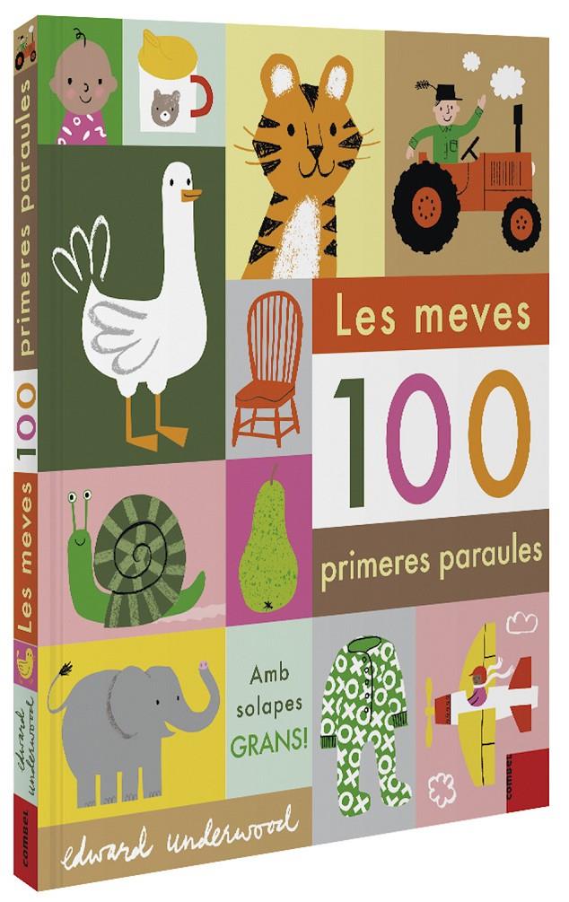 LES MEVES 100 PRIMERES PARAULES | 9788491015932 | UNDERWOOD, EDWARD | Llibreria La Font de Mimir - Llibreria online Barcelona - Comprar llibres català i castellà