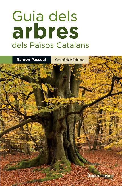 GUIA DELS ARBRES DELS PAÏSOS CATALANS | 9788490343586 | PASCUAL LLUVIÀ, RAMON | Llibreria La Font de Mimir - Llibreria online Barcelona - Comprar llibres català i castellà