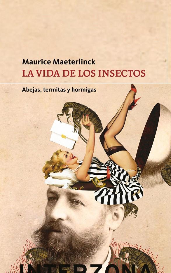 LA VIDA DE LOS INSECTOS | 9789877900187 | MAETERLINCK MAURICE | Llibreria La Font de Mimir - Llibreria online Barcelona - Comprar llibres català i castellà