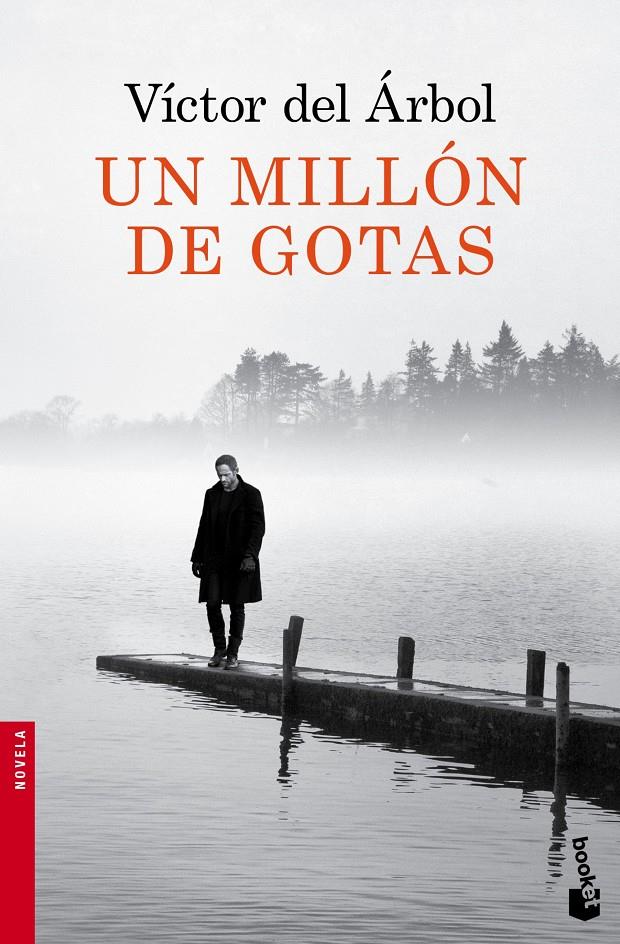 UN MILLÓN DE GOTAS | 9788423349418 | DEL ÁRBOL, VÍCTOR | Llibreria La Font de Mimir - Llibreria online Barcelona - Comprar llibres català i castellà