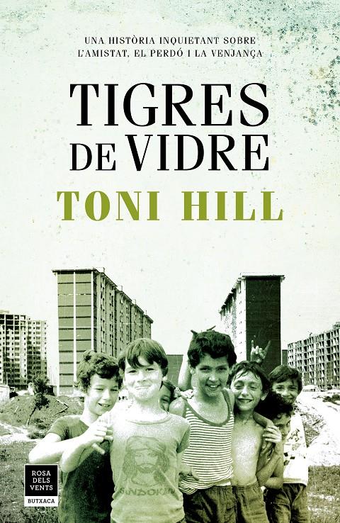 TIGRES DE VIDRE | 9788417444747 | HILL, TONI | Llibreria La Font de Mimir - Llibreria online Barcelona - Comprar llibres català i castellà