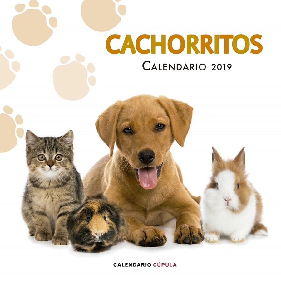 CALENDARIO CACHORRITOS 2019 | 9788448024673 | AA. VV. | Llibreria La Font de Mimir - Llibreria online Barcelona - Comprar llibres català i castellà