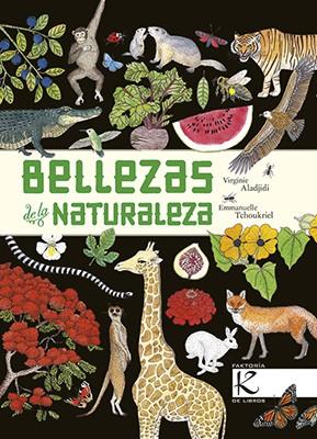 BELLEZAS DE LA NATURALEZA | 9788416721474 | ALADJIDI, VIRGINIE | Llibreria La Font de Mimir - Llibreria online Barcelona - Comprar llibres català i castellà