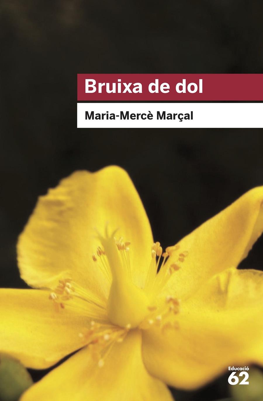 BRUIXA DE DOL (1977-1979) | 9788415954736 | MARÇAL SERRA, M. MERCÈ | Llibreria La Font de Mimir - Llibreria online Barcelona - Comprar llibres català i castellà
