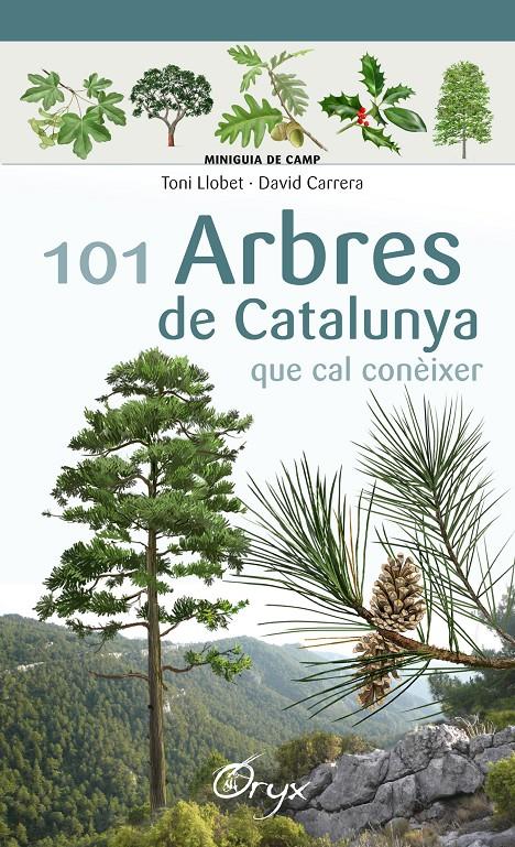 101 ARBRES DE CATALUNYA | 9788490346778 | LLOBET FRANÇOIS, TONI/CARRERA BONET, DAVID | Llibreria La Font de Mimir - Llibreria online Barcelona - Comprar llibres català i castellà