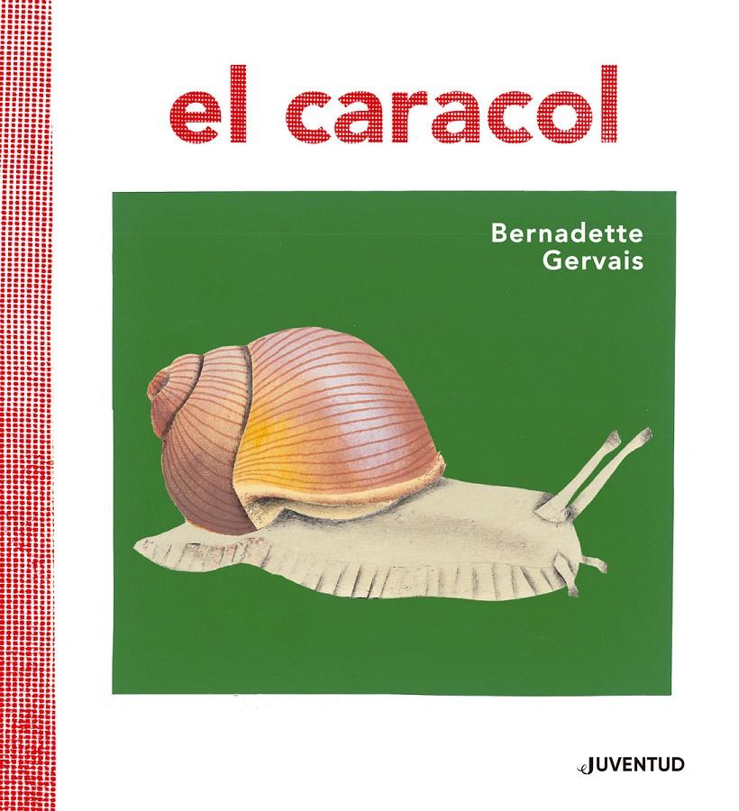 EL CARACOL | 9788426145673 | GERVAIS, BERNADETTE | Llibreria La Font de Mimir - Llibreria online Barcelona - Comprar llibres català i castellà