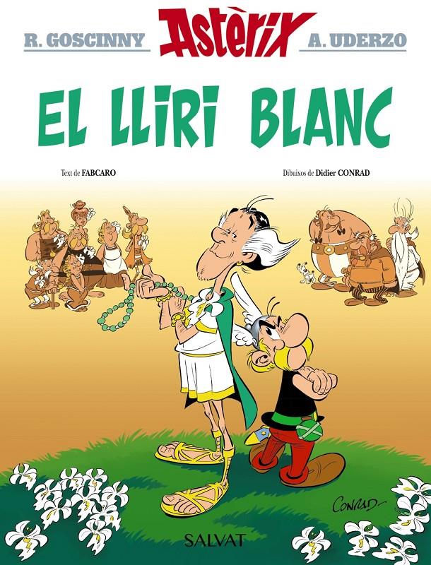 EL LLIRI BLANC | 9788469640418 | GOSCINNY, RENÉ/FABCARO | Llibreria La Font de Mimir - Llibreria online Barcelona - Comprar llibres català i castellà