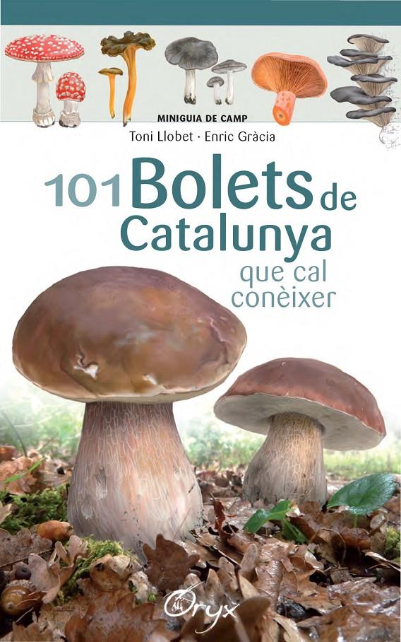 101 BOLETS DE CATALUNYA | 9788490347096 | LLOBET FRANÇOIS, TONI/GRÀCIA, ENRIC | Llibreria La Font de Mimir - Llibreria online Barcelona - Comprar llibres català i castellà
