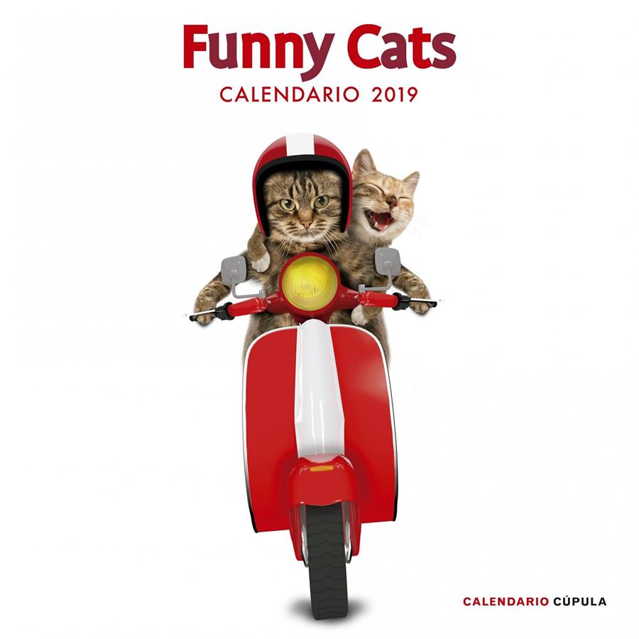 CALENDARIO FUNNY CATS 2019 | 9788448024628 | AA. VV. | Llibreria La Font de Mimir - Llibreria online Barcelona - Comprar llibres català i castellà
