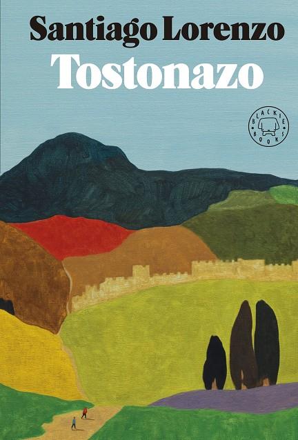 TOSTONAZO | 9788419172204 | LORENZO, SANTIAGO | Llibreria La Font de Mimir - Llibreria online Barcelona - Comprar llibres català i castellà