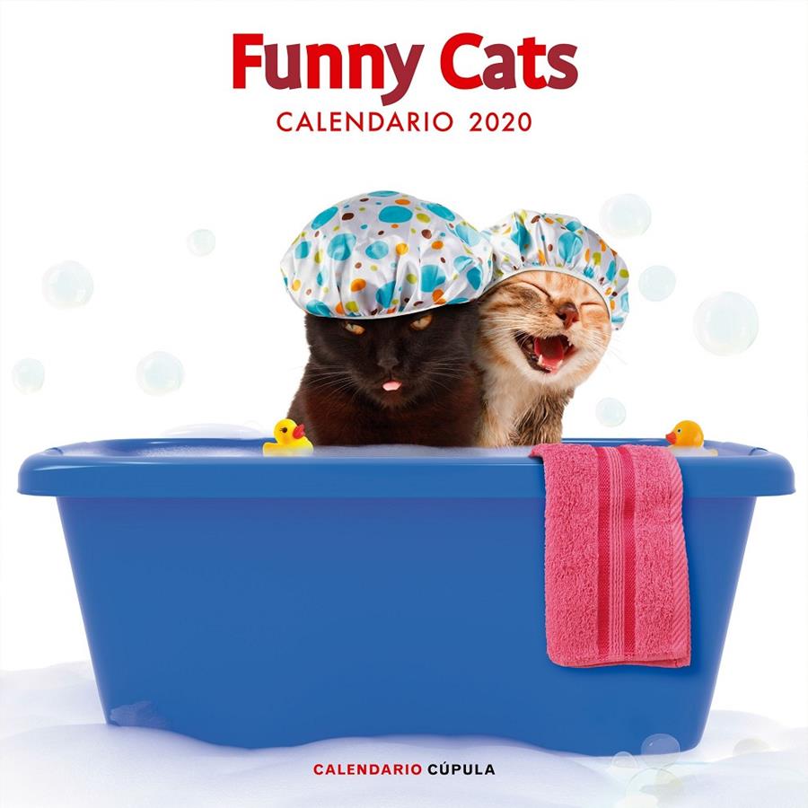 CALENDARIO FUNNY CATS 2020 | 9788448026141 | AA. VV. | Llibreria La Font de Mimir - Llibreria online Barcelona - Comprar llibres català i castellà