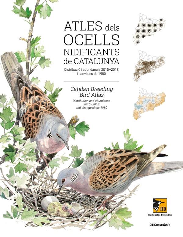 ATLES DELS OCELLS NIDIFICANTS DE CATALUNYA | 9788413560939 | AUTORS, DIVERSOS | Llibreria La Font de Mimir - Llibreria online Barcelona - Comprar llibres català i castellà