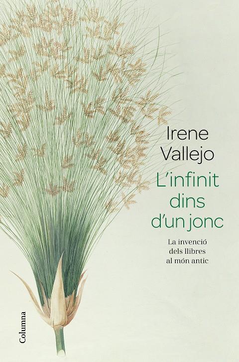 L'INFINIT DINS D'UN JONC | 9788466426947 | VALLEJO, IRENE | Llibreria La Font de Mimir - Llibreria online Barcelona - Comprar llibres català i castellà