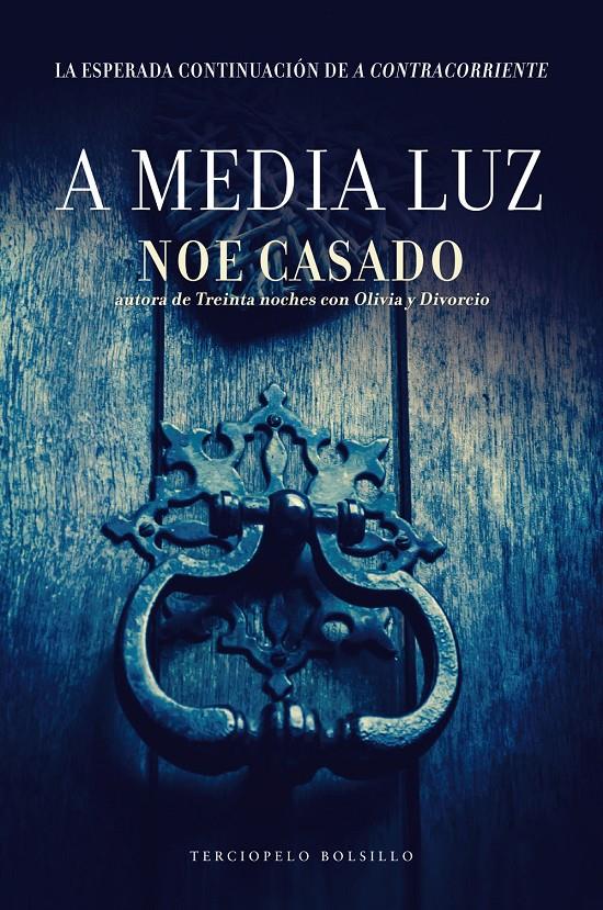 A MEDIA LUZ | 9788415952961 | CASADO, NOE | Llibreria La Font de Mimir - Llibreria online Barcelona - Comprar llibres català i castellà