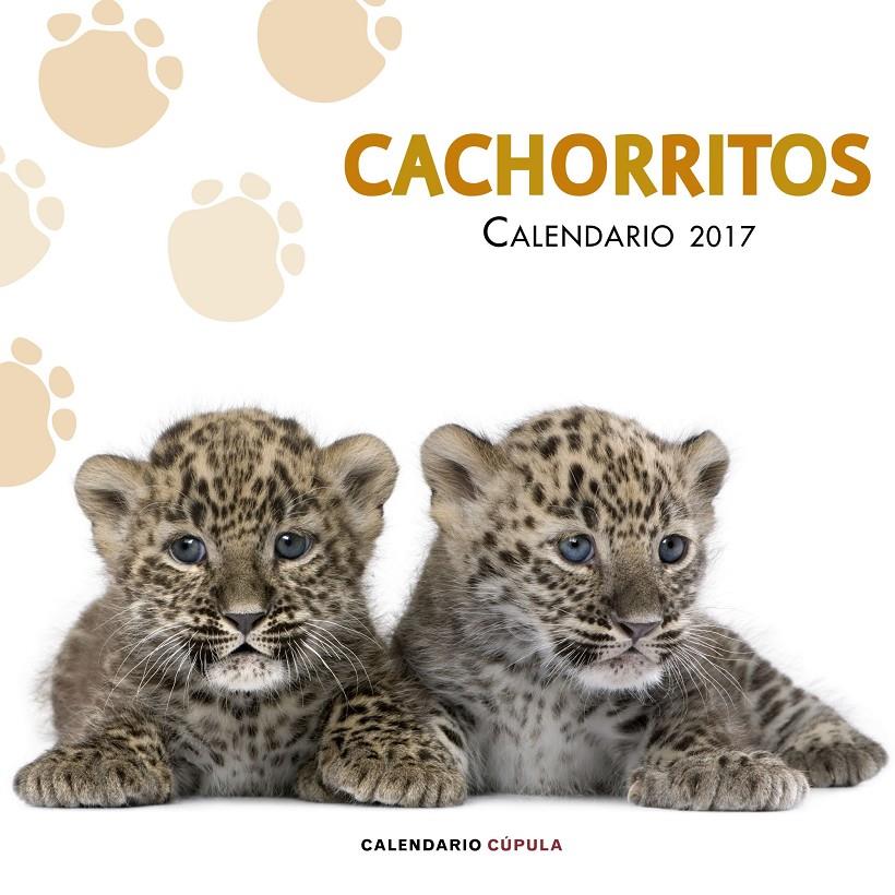 CALENDARIO CACHORRITOS 2017 | 9788448022617 | AA. VV. | Llibreria La Font de Mimir - Llibreria online Barcelona - Comprar llibres català i castellà
