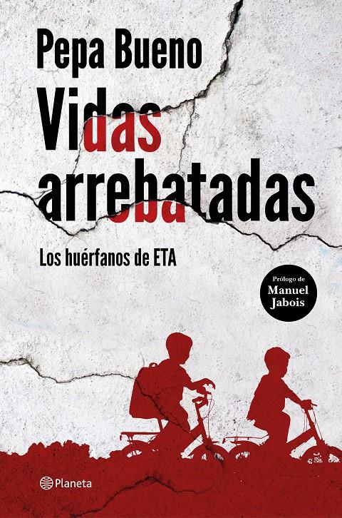 VIDAS ARREBATADAS | 9788408226765 | BUENO, PEPA | Llibreria La Font de Mimir - Llibreria online Barcelona - Comprar llibres català i castellà