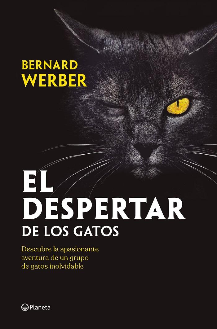 EL DESPERTAR DE LOS GATOS | 9788408251835 | WERBER, BERNARD | Llibreria La Font de Mimir - Llibreria online Barcelona - Comprar llibres català i castellà