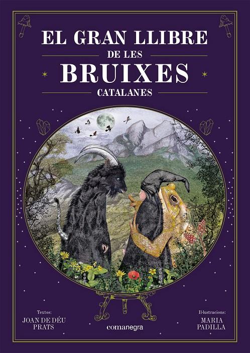 EL GRAN LLIBRE DE LES BRUIXES CATALANES | 9788418857751 | PRATS, JOAN DE DÉU/PADILLA CLIMENT, MARIA | Llibreria La Font de Mimir - Llibreria online Barcelona - Comprar llibres català i castellà