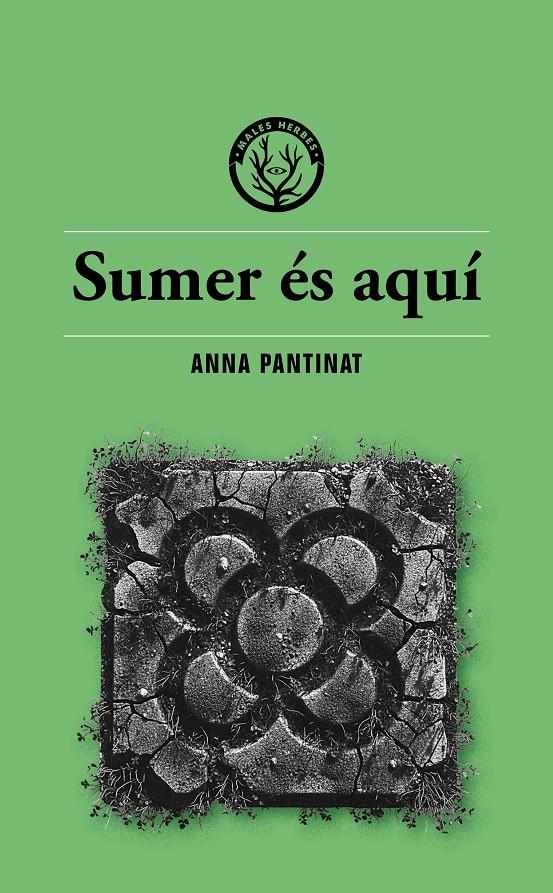 SUMER ÉS AQUÍ | 9791399014686 | ANNA PANTINAT | Llibreria La Font de Mimir - Llibreria online Barcelona - Comprar llibres català i castellà