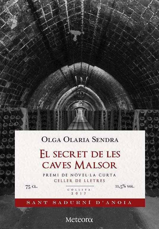 EL SECRET DE LES CAVES MALSOR | 9788494698293 | OLARIA SENDRA, OLGA | Llibreria La Font de Mimir - Llibreria online Barcelona - Comprar llibres català i castellà