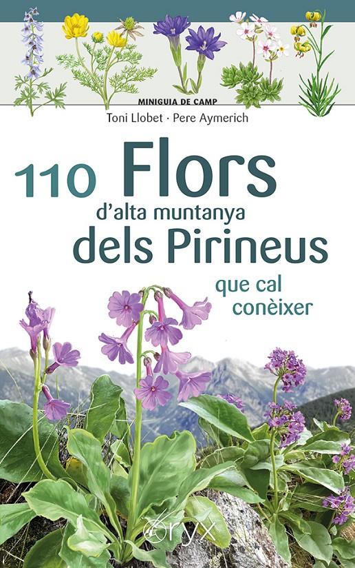 110 FLORS D'ALTA MUNTANYA DELS PIRINEUS | 9788413564647 | AYMERICH, PERE | Llibreria La Font de Mimir - Llibreria online Barcelona - Comprar llibres català i castellà