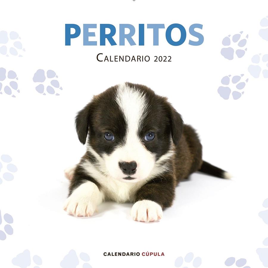 CALENDARIO PERRITOS 2022 | 9788448028701 | AA. VV. | Llibreria La Font de Mimir - Llibreria online Barcelona - Comprar llibres català i castellà