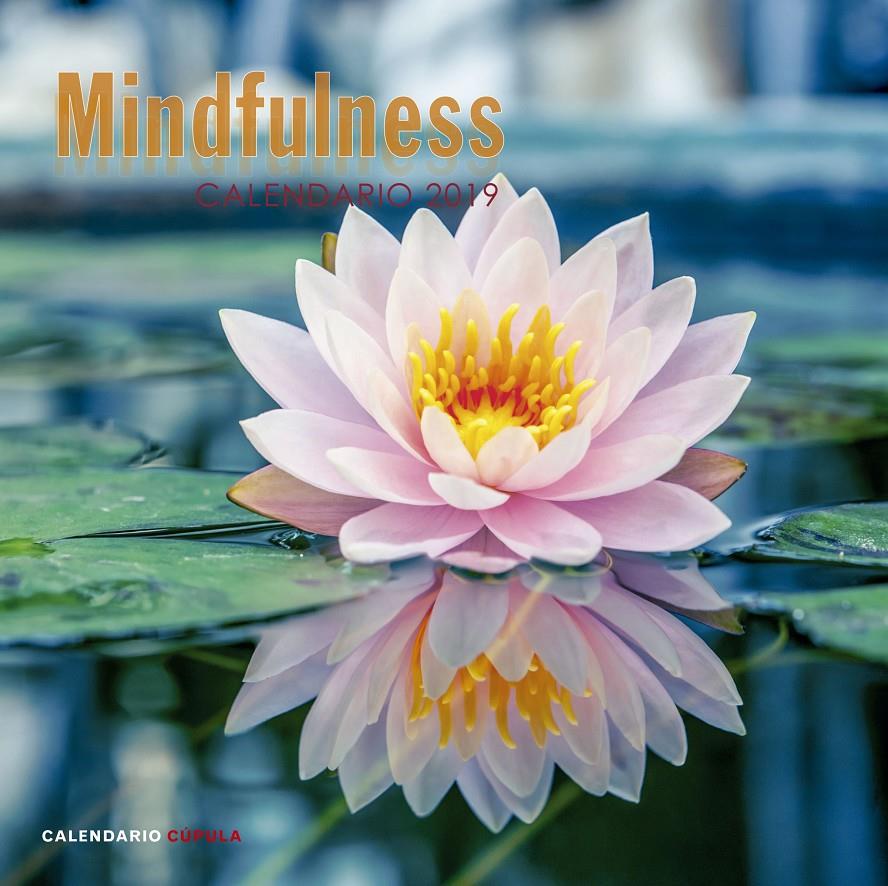 CALENDARIO MINDFULNESS 2019 | 9788448024598 | AA. VV. | Llibreria La Font de Mimir - Llibreria online Barcelona - Comprar llibres català i castellà