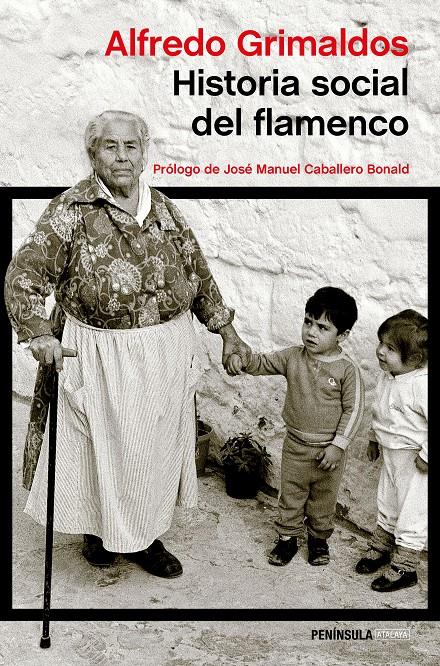 HISTORIA SOCIAL DEL FLAMENCO | 9788499423845 | ALFREDO GRIMALDOS | Llibreria La Font de Mimir - Llibreria online Barcelona - Comprar llibres català i castellà