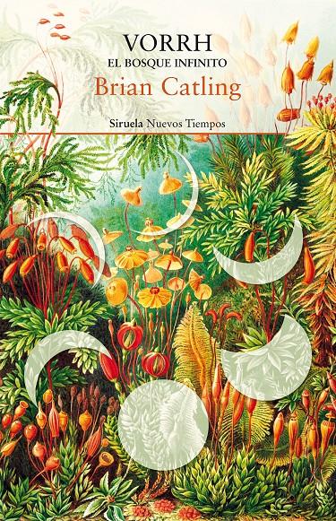VORRH. EL BOSQUE INFINITO | 9788417454487 | CATLING, BRIAN | Llibreria La Font de Mimir - Llibreria online Barcelona - Comprar llibres català i castellà