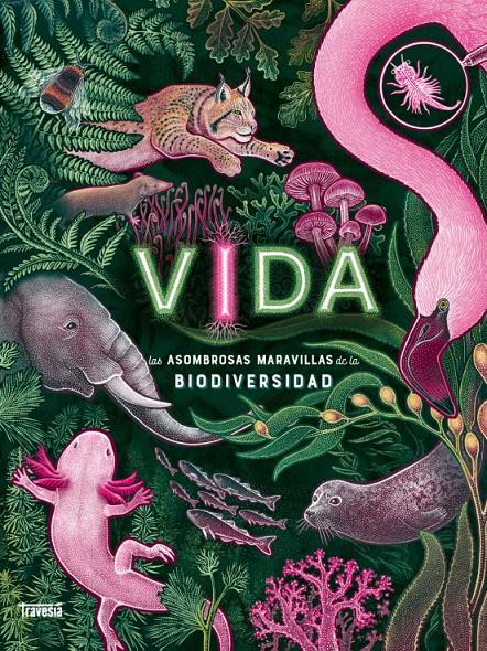 VIDA | 9786075840338 | N.R. SMITH, JENNIFER | Llibreria La Font de Mimir - Llibreria online Barcelona - Comprar llibres català i castellà