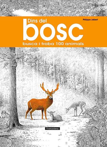DINS DEL BOSC | 9788418520563 | Llibreria La Font de Mimir - Llibreria online Barcelona - Comprar llibres català i castellà