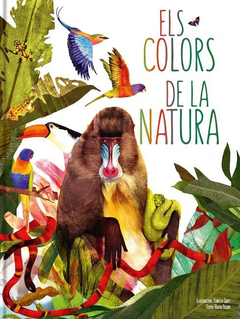 ELS COLORS DE LA NATURA | 9788413342320 | Llibreria La Font de Mimir - Llibreria online Barcelona - Comprar llibres català i castellà