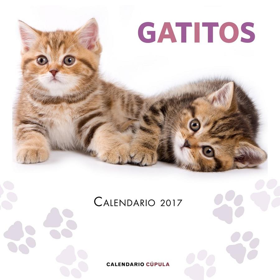 CALENDARIO GATITOS 2017 | 9788448022594 | AA. VV. | Llibreria La Font de Mimir - Llibreria online Barcelona - Comprar llibres català i castellà