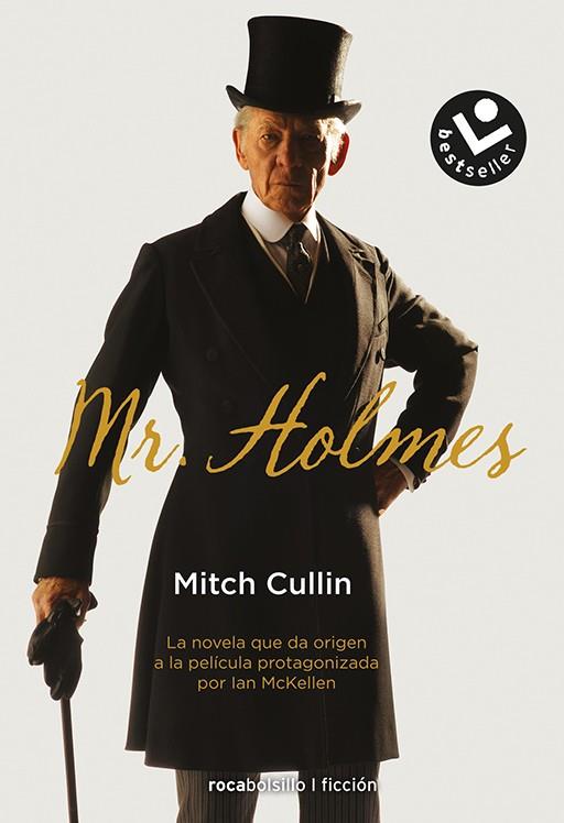 MR. HOLMES | 9788416240258 | CULLIN, MITCH | Llibreria La Font de Mimir - Llibreria online Barcelona - Comprar llibres català i castellà