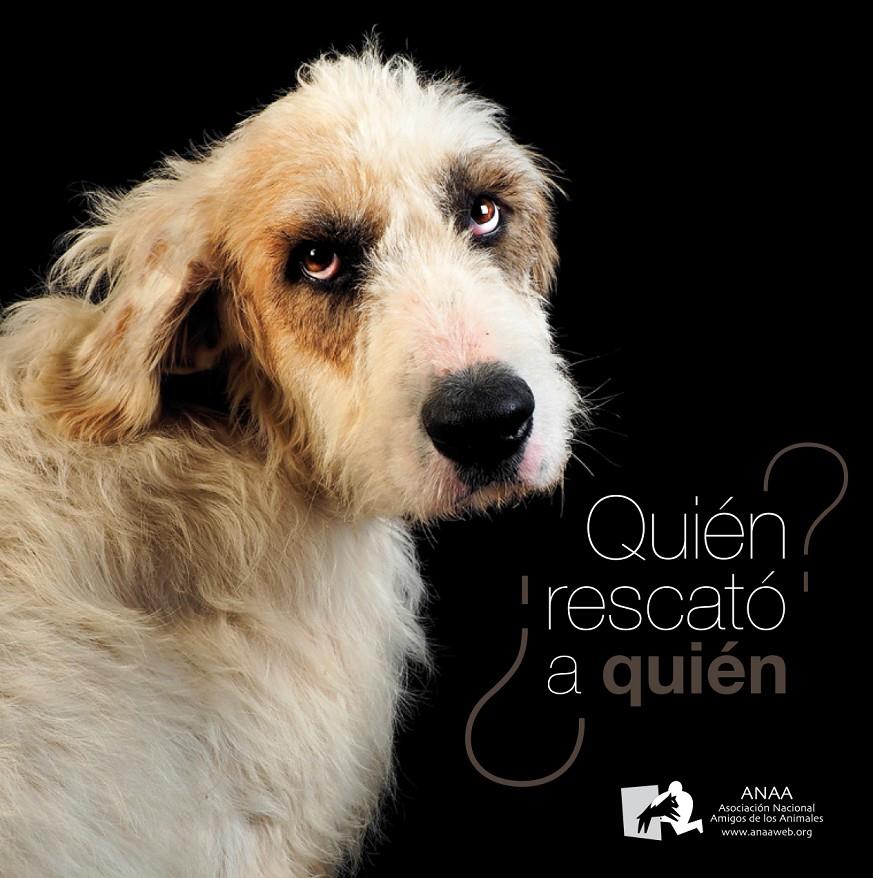 ¿QUIÉN RESCATÓ A QUIÉN? | 9788494326448 | ASOCIACIÓN ANAA | Llibreria La Font de Mimir - Llibreria online Barcelona - Comprar llibres català i castellà