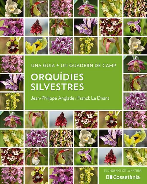 ORQUÍDIES SILVESTRES | 9788413564920 | ANGLADE, JEAN-PHILIPPE/LE DRIANT, FRANCK | Llibreria La Font de Mimir - Llibreria online Barcelona - Comprar llibres català i castellà