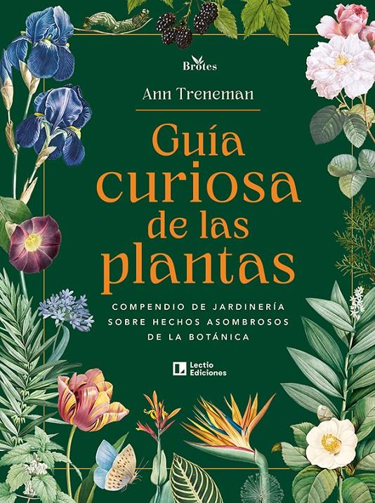 GUÍA CURIOSA DE LAS PLANTAS | 9788418735905 | TRENEMAN, ANN | Llibreria La Font de Mimir - Llibreria online Barcelona - Comprar llibres català i castellà