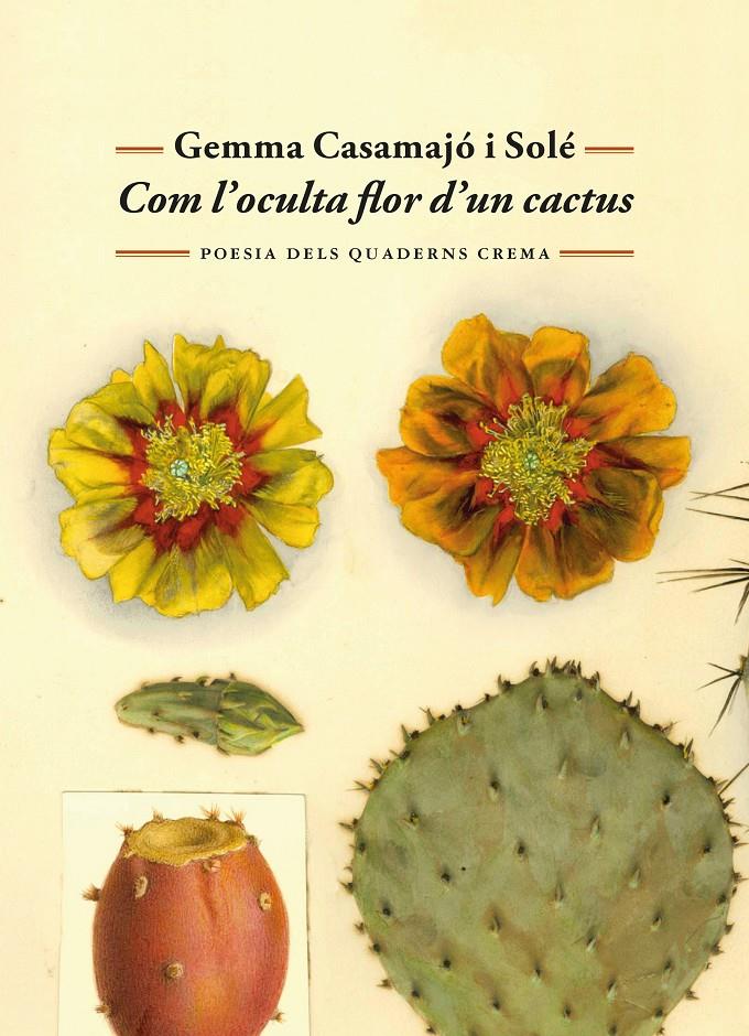 COM L'OCULTA FLOR D'UN CACTUS | 9788477277071 | CASAMAJÓ I SOLÉ, GEMMA | Llibreria La Font de Mimir - Llibreria online Barcelona - Comprar llibres català i castellà