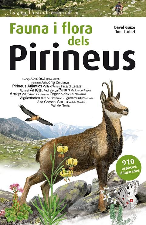 FAUNA I FLORA DELS PIRINEUS | 9788415885559 | GUIXÉ COROMINES, DAVID | Llibreria La Font de Mimir - Llibreria online Barcelona - Comprar llibres català i castellà