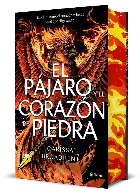 EL PÁJARO Y EL CORAZÓN DE PIEDRA (EDICIÓN DELUXE) | 9788408314288 | BROADBENT, CARISSA | Llibreria La Font de Mimir - Llibreria online Barcelona - Comprar llibres català i castellà